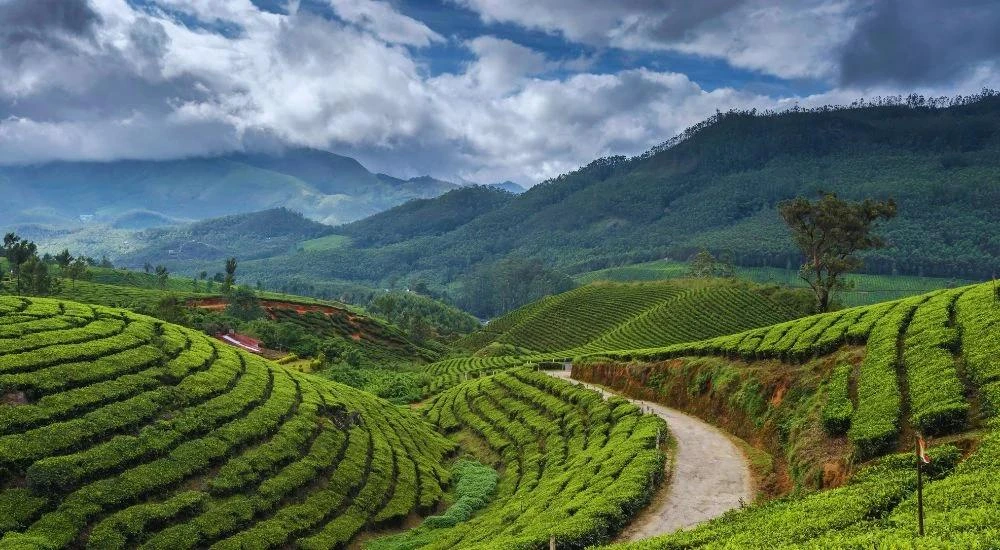Darjeeling Himalayan Tour