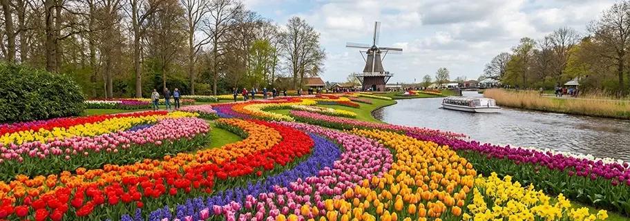 Netherlands Tulip Tour