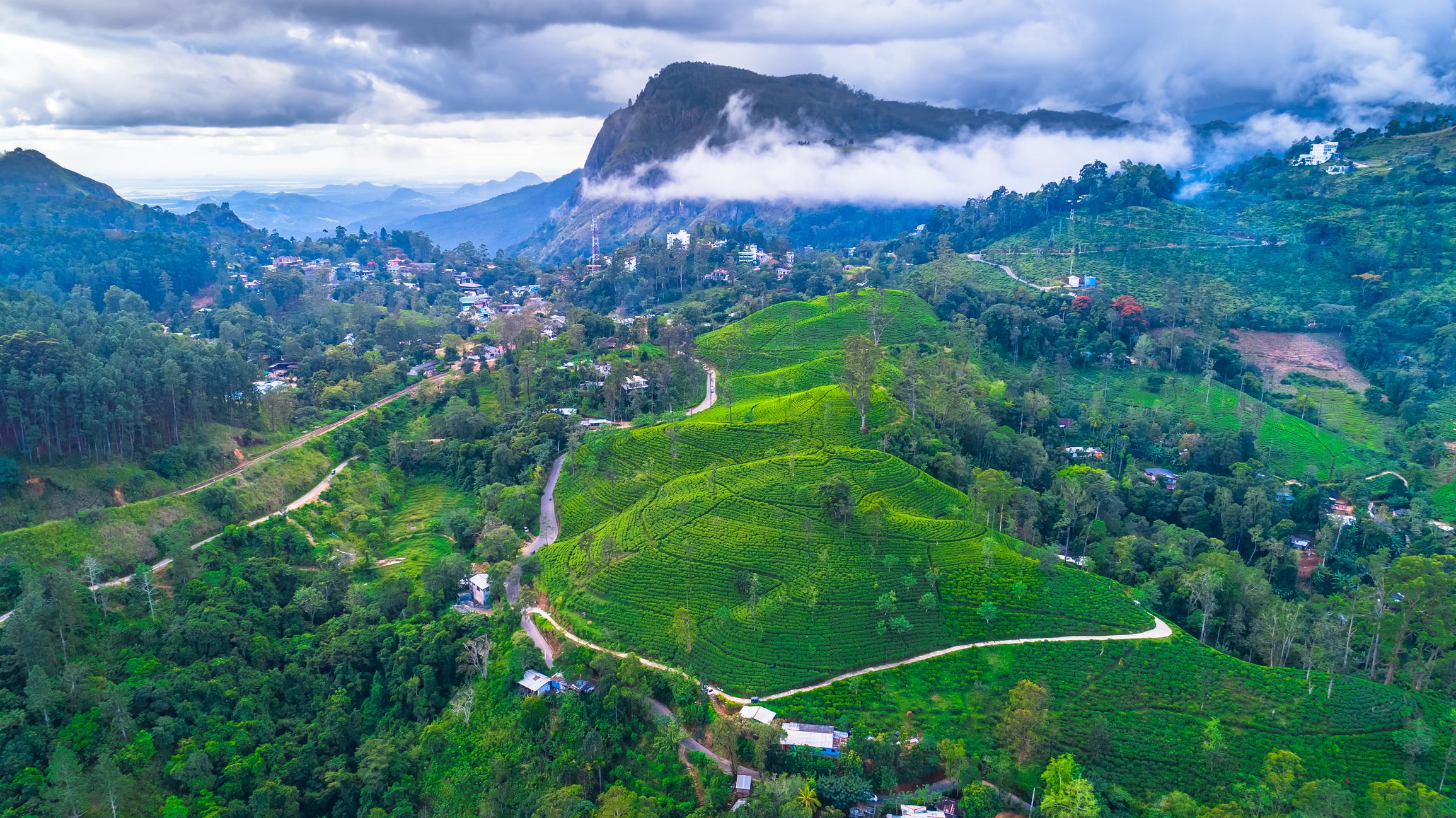 Sri Lanka Island Tour